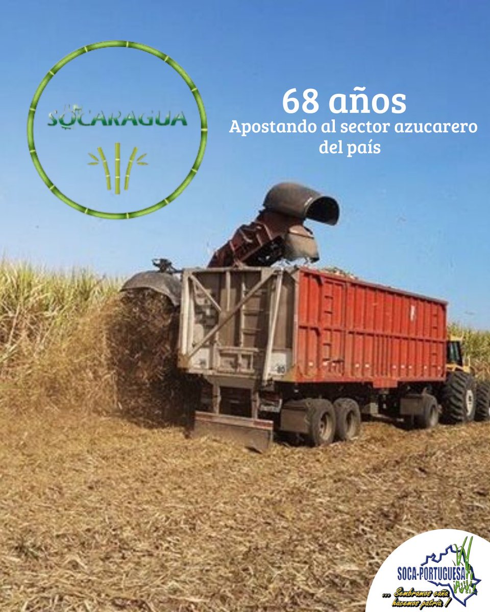 ¡Un gran saludo al gremio de Socaragua por sus 68 años!

Felicitamos a todos los productores de caña de azúcar de Aragua y Carabobo que forman parte de esta gran asociación. Su dedicación ha sido fundamental para el desarrollo del sector durante casi siete décadas.