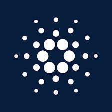 50,000 $ADA or this 👇

Make Cardano Great Again