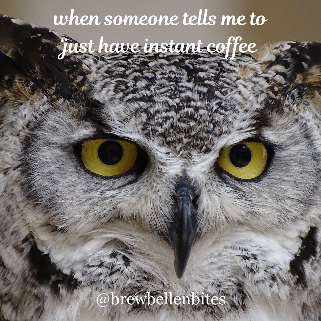 Me: A coffee connoisseur 🧐
Also me when offered instant coffee: 🦉👀
☕🦉 #CoffeeSnob #NoInstantForMe #BrewItRight #CaffeineQueen #brewbellenbites