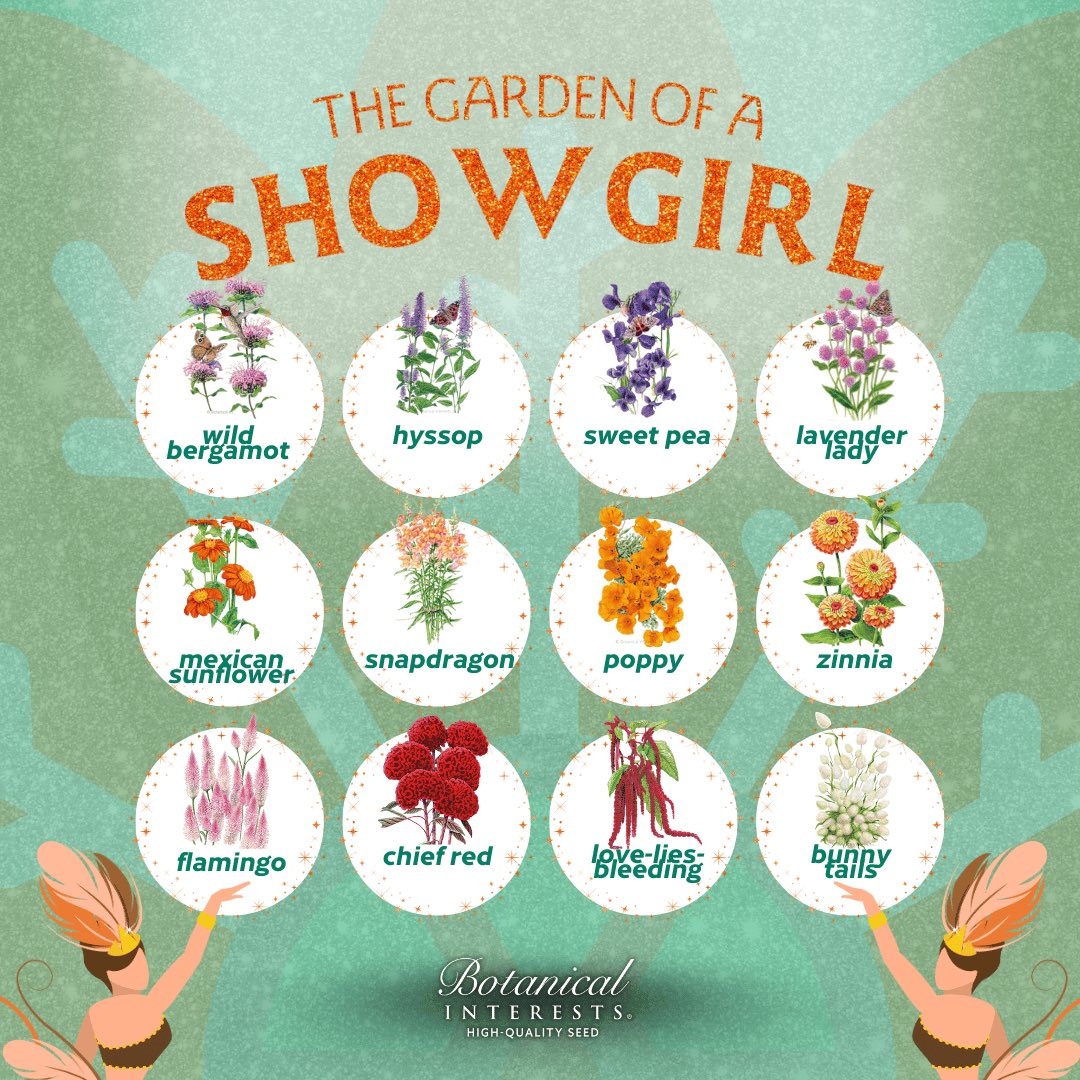 Botanical Interests 🌻 tweet media