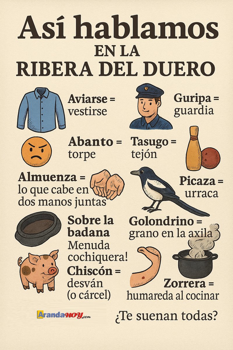 ¿Sabes qué significa "más viejo que la orilla del Duero", "tortos de uva" o "ojo gallo"?

Si eres de la #RiberadelDuero (o tienes alma de ribereño), seguro que más de una te suena... ¿noo?, ¡descúbrelo! 👇
 
arandahoy.com/0814/asi-habla…
