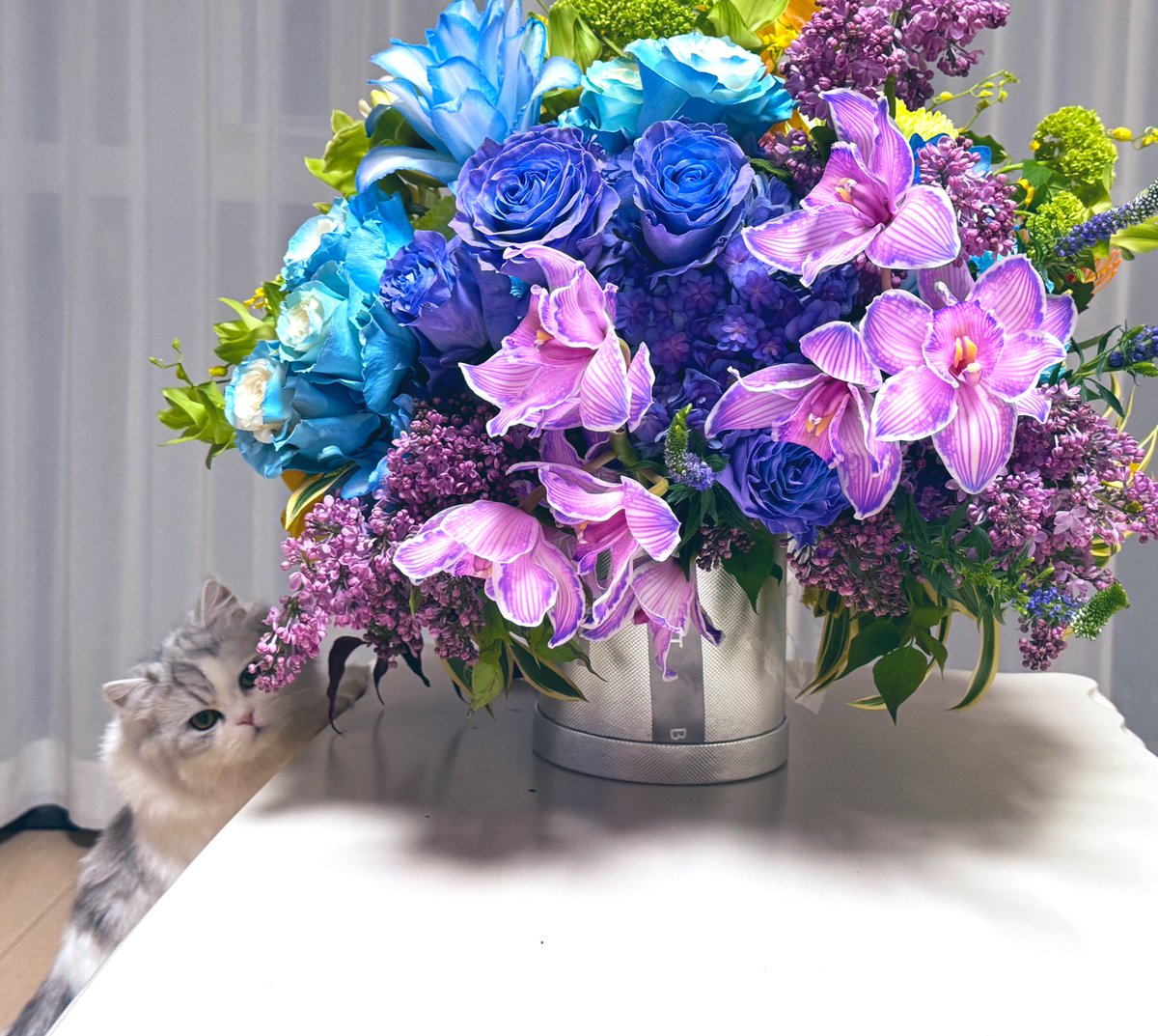 上一次发twitter还是6年前
每个人的生活都是一片独特域场 由身边的人组成 众生即自己
只和自己喜欢的人产生交集 只与让自己感到开心的人在一起 勇于践行 结果就是很快乐 而且收获到的都会是自己想要的
重点在于主体性和选择权 不是要我怎么样 而是我选择怎么样