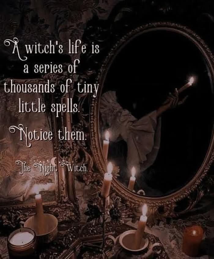 ABiteOfMagic's tweet photo. ✨️ https://t.co/OwkX6i6Mg0