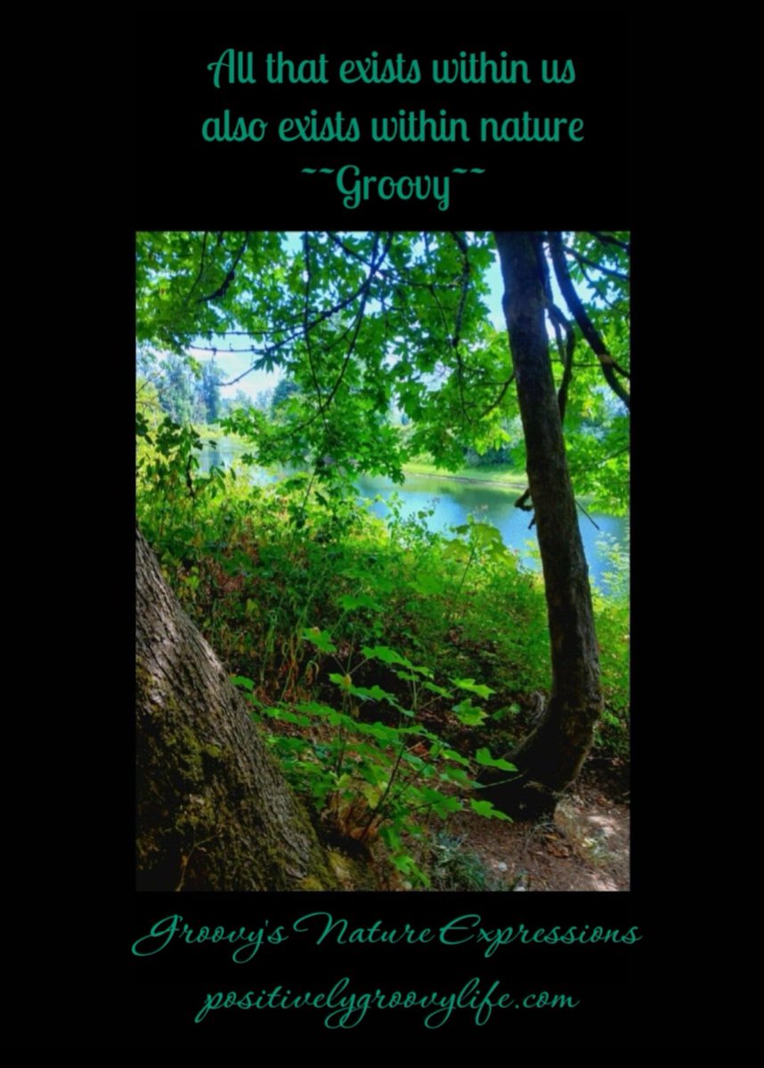 GroovyLives's tweet photo. https://t.co/jqdmUW7lN1 https://t.co/TPWafgVYwr