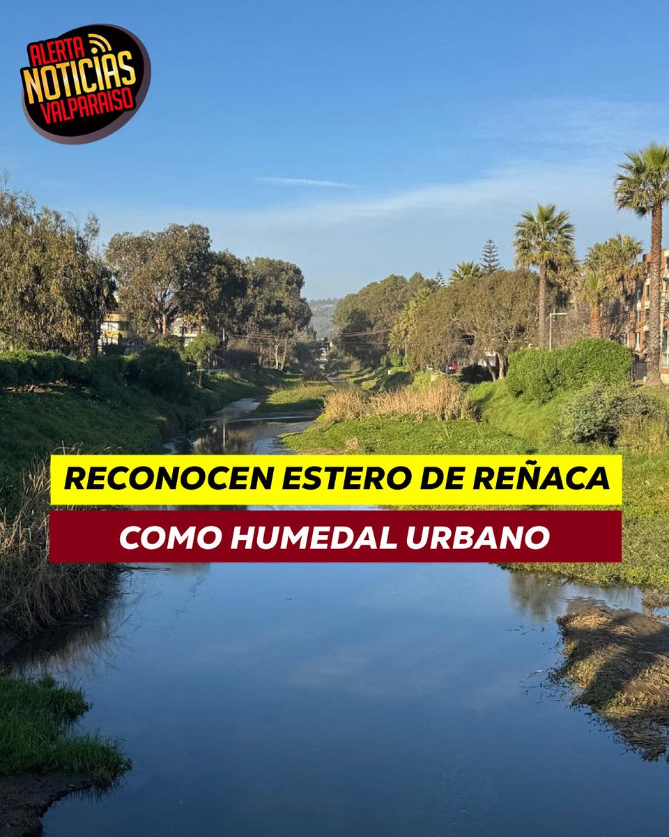 Alerta Noticias Valparaíso tweet media