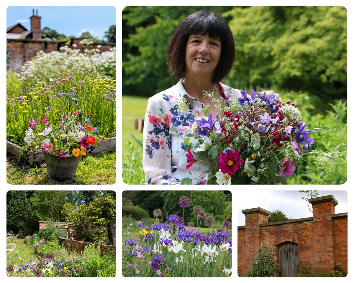 One of our newest members, Diane Lloyd, from Tarporley, features in the August edition of #CheshireLifeMagazine  Read the story of how she developed her flower farm on land that was once a walled kitchen garden.
Photos © Alison Moore <a href="/a1isonmoore/">🌱Alison Moore 🐝</a>