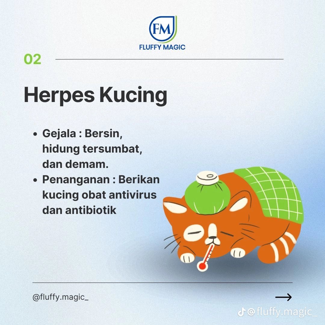 karinayusz's tweet image. 