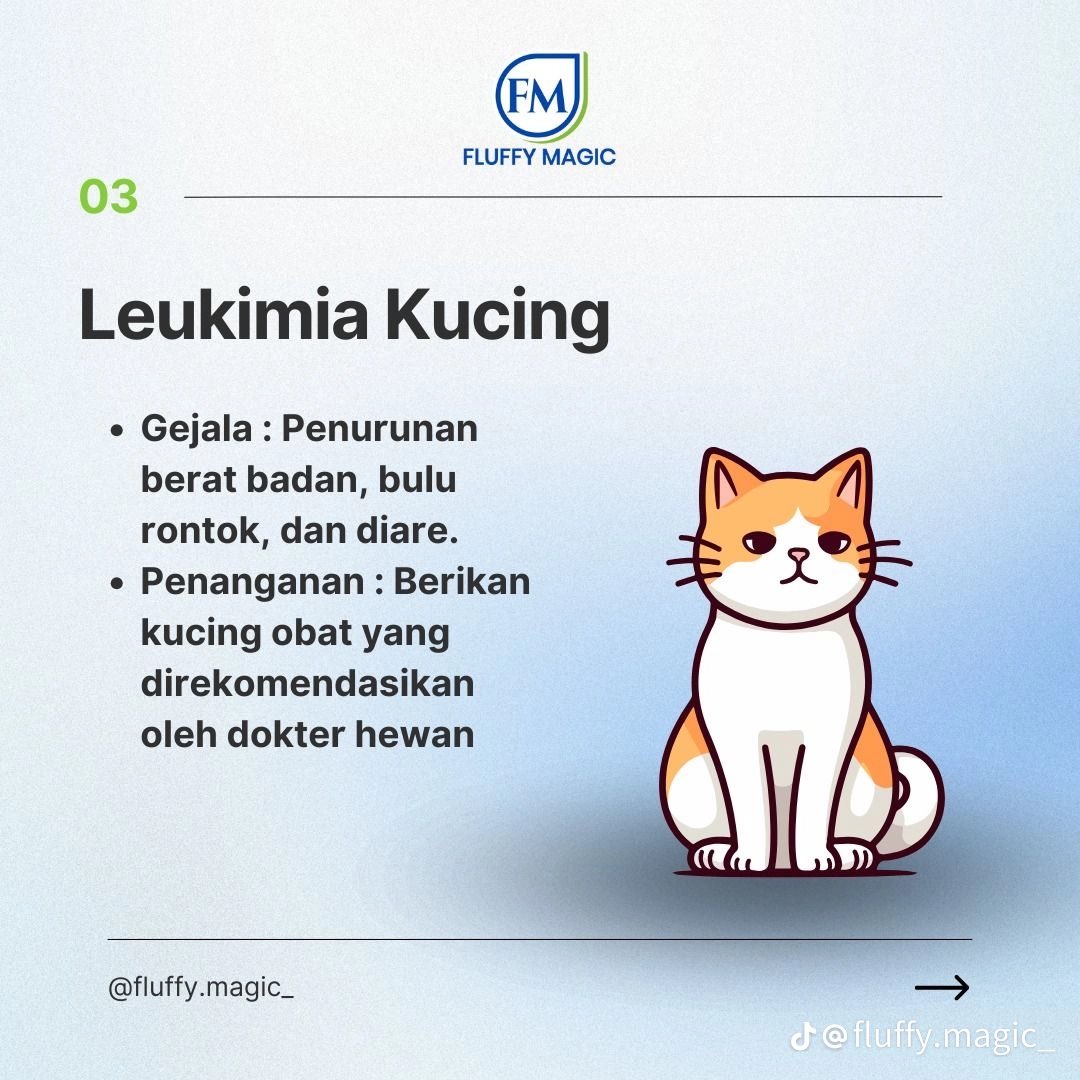 karinayusz's tweet image. 