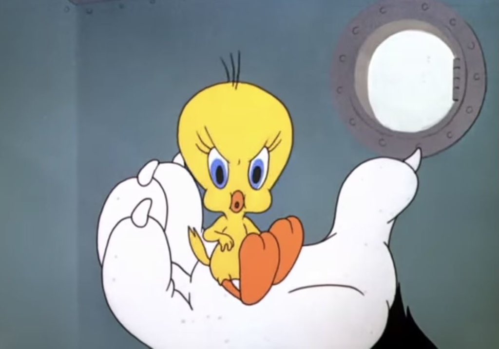 ꒰ა🐰ྀི໒꒱ tweet media