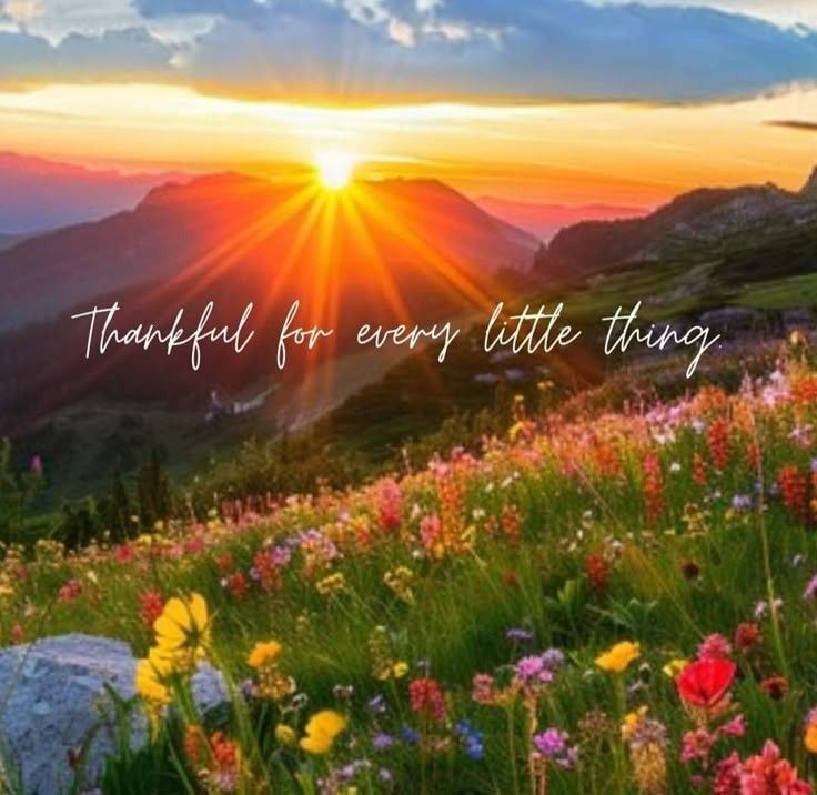 POSITIVITY (@positivitysaid) on Twitter photo 