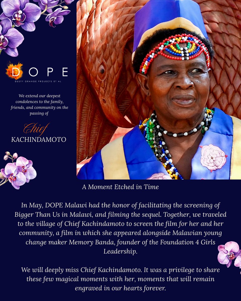 Dusty Orange Projects Et Al tweet media