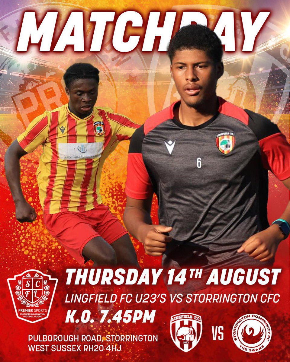 Lingfield FC U23 tweet media