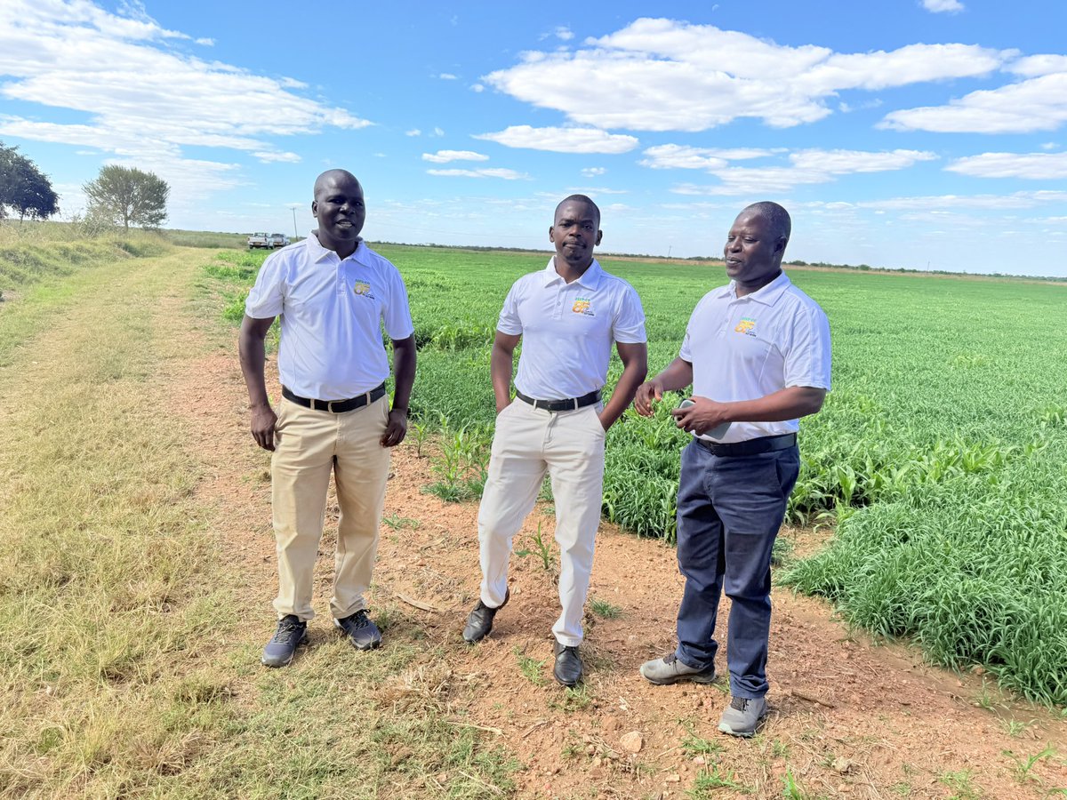 Dior Pote tweet media