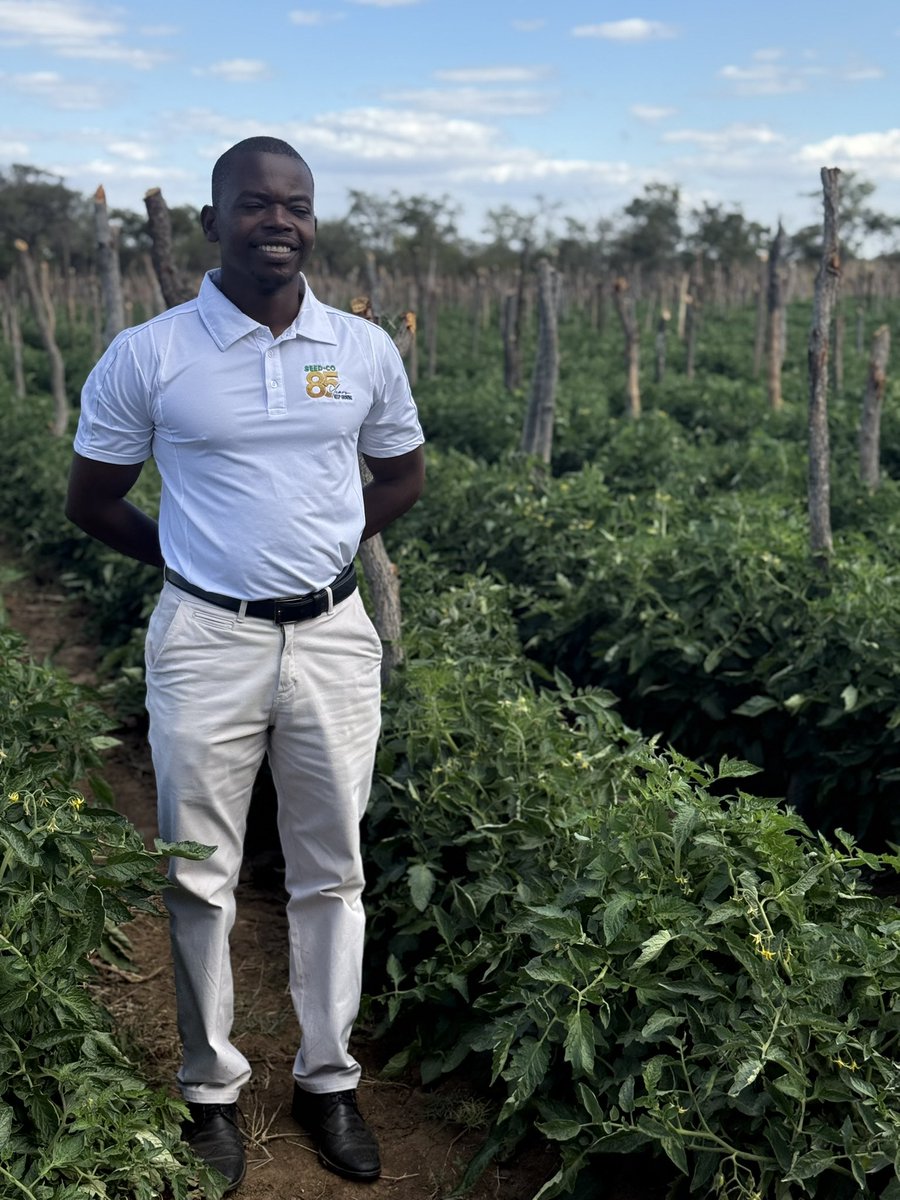 Dior Pote tweet media