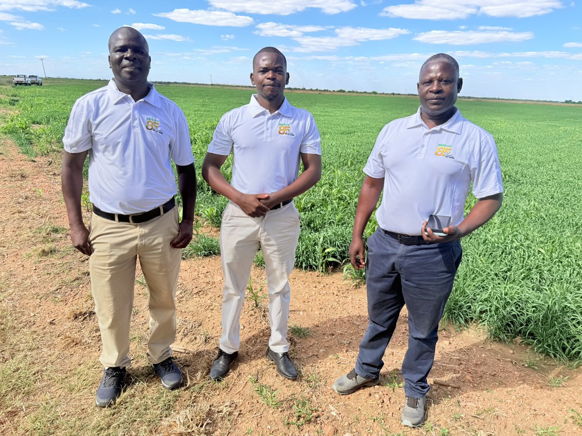 Dior Pote tweet media