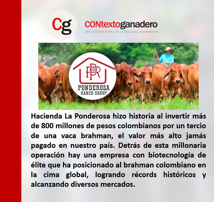 Pasión Ganadera-PLARAUCA (@plarauca) on Twitter photo Esta hacienda compró parte de la vaca que deja 60 crías al año contextoganadero.com/ganaderia-sost… a través de <a href="/ContGanadero/">CONtexto Ganadero</a> <a href="/Fedegan/">FEDEGAN</a> <a href="/jflafaurie/">José Félix Lafaurie</a> <a href="/PL_TAME/">Tame Pasión Ganadera</a> <a href="/ubate_pl/">PL Ubaté</a> <a href="/PlSaravena/">Proyecto Local Saravena, pasión ganadera</a> <a href="/PLCaucasiagan/">CAUCASIA PASION GANADERA</a> Esta hacienda compró parte de la vaca que deja 60 crías al año contextoganadero.com/ganaderia-sost… a través de <a href="/ContGanadero/">CONtexto Ganadero</a> <a href="/Fedegan/">FEDEGAN</a> <a href="/jflafaurie/">José Félix Lafaurie</a> <a href="/PL_TAME/">Tame Pasión Ganadera</a> <a href="/ubate_pl/">PL Ubaté</a> <a href="/PlSaravena/">Proyecto Local Saravena, pasión ganadera</a> <a href="/PLCaucasiagan/">CAUCASIA PASION GANADERA</a>