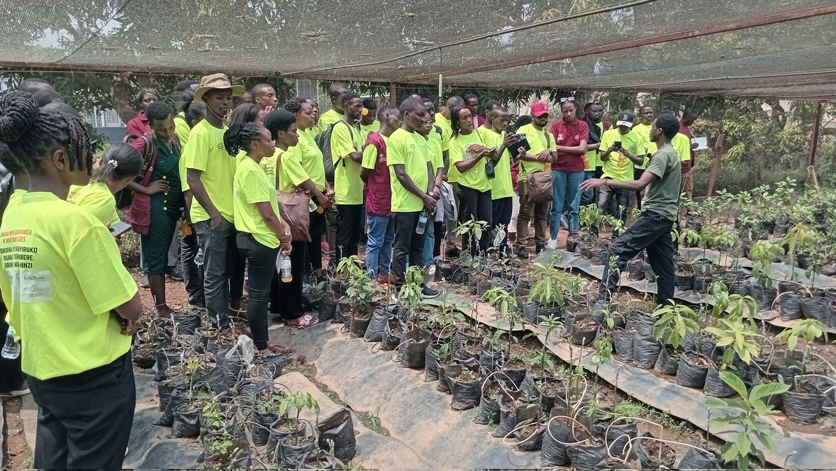Fiston135's tweet photo. Day 2 of the @YEAN_Agro #YEFFAProject Youth Caravan Learning Exchange ๐ฑ๐
At the Horticulture CentreofExcellence at Mulindi, we saw:
๐ง Precision irrigation
๐ฟ Climate-smart greenhouses
๐ฉโ๐พ Youth shaping agri-business futures
Agriculture isnโt just farming โ itโs innovation. https://t.co/gquIl3ppY5
