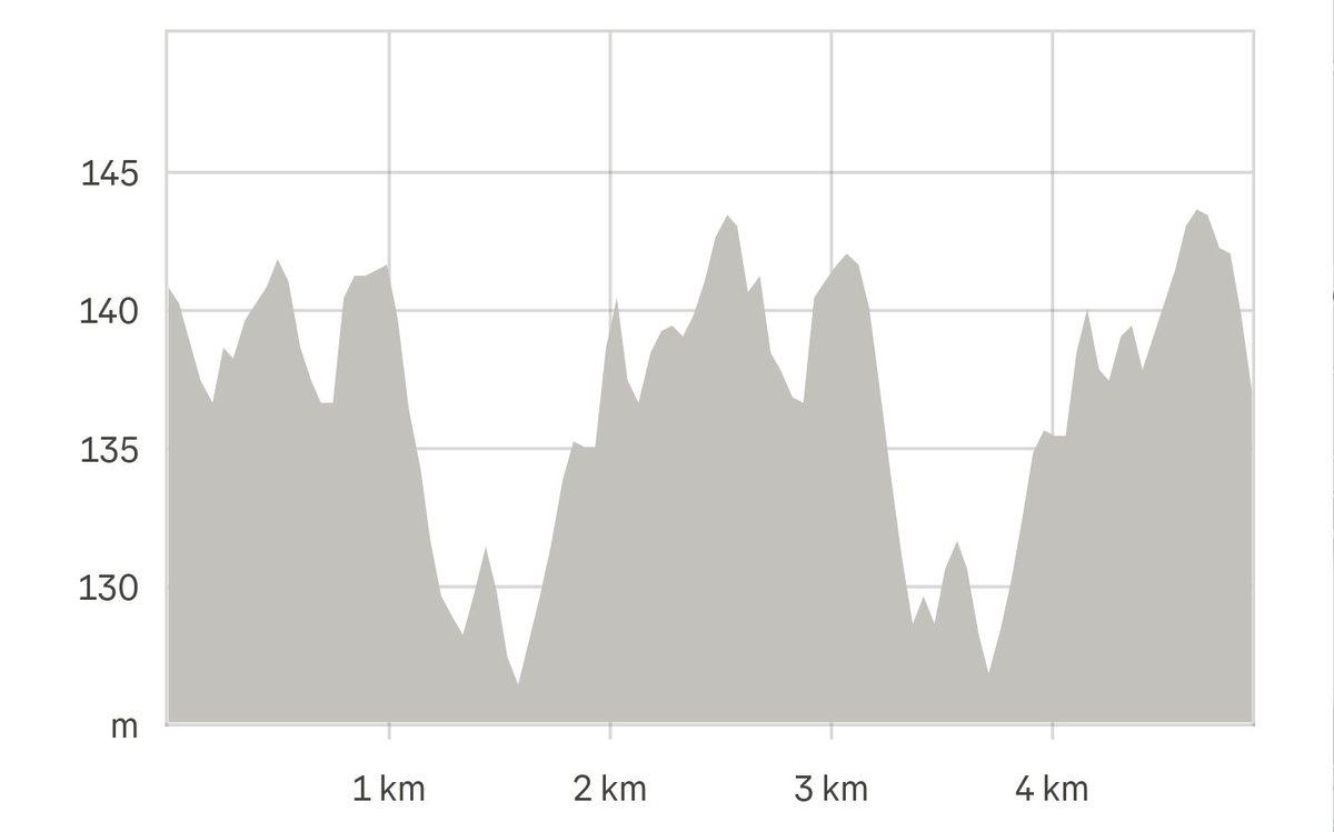 Terrier Bytes tweet media