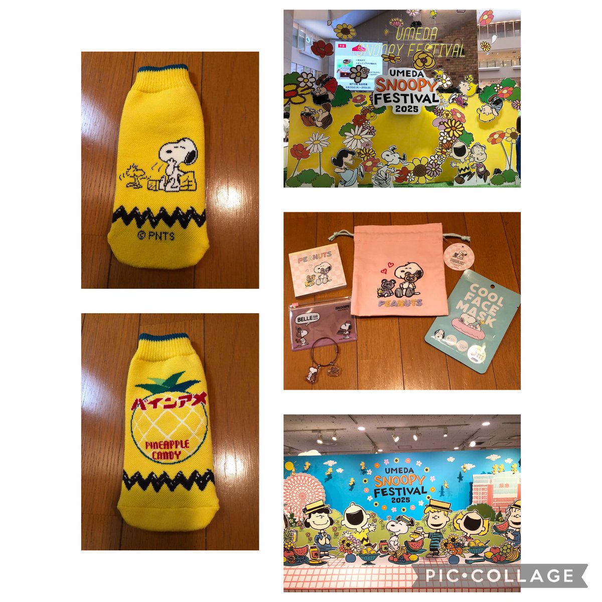 nunchan様♥️ご確認専用ページ セディナカードをかたるフィッシング、件名「【Cedynaカード】お