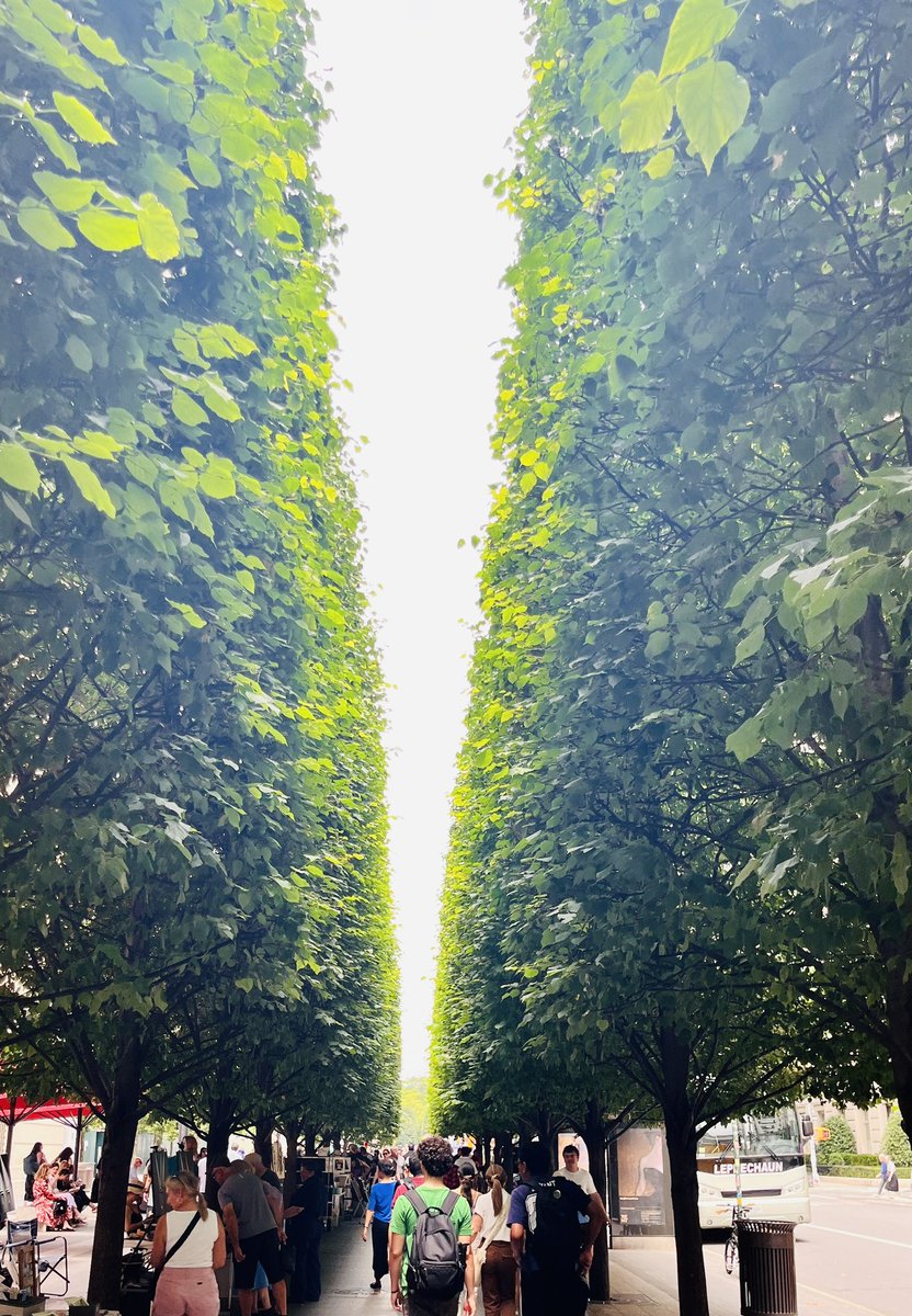 地球就像是一级文明，这个文明的规则就是善恶二元对立——玩不转善就会死，练习纯粹就能变成高等文明，持续行恶的话，就只能在地球上留级。
最邪恶的，就是金钱、政权、宗教。
天道有常，万物有则，道法自然