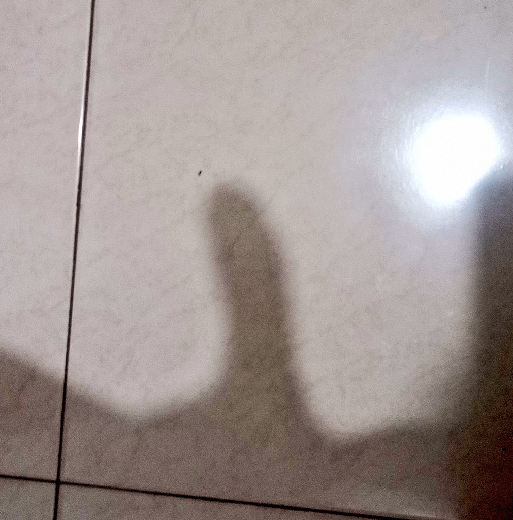 maleficent tweet media