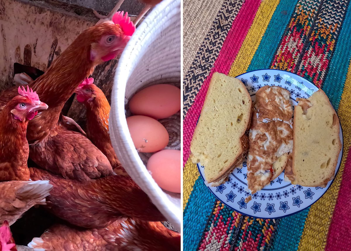 From farm to fork #fresheggs #healthfood #CharacterFestThailandxGMMTV