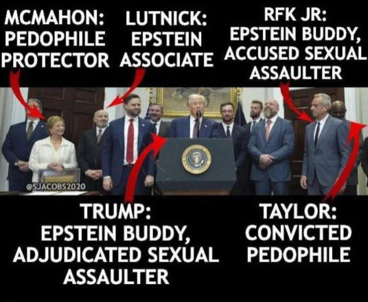 Brown Eyed Susan tweet media