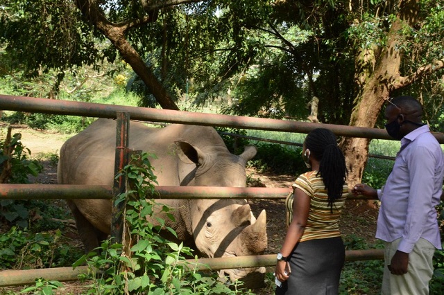 Shs40 billion needed to promote rhino tourism-wp.me/p7FLkS-1qtj?ut…