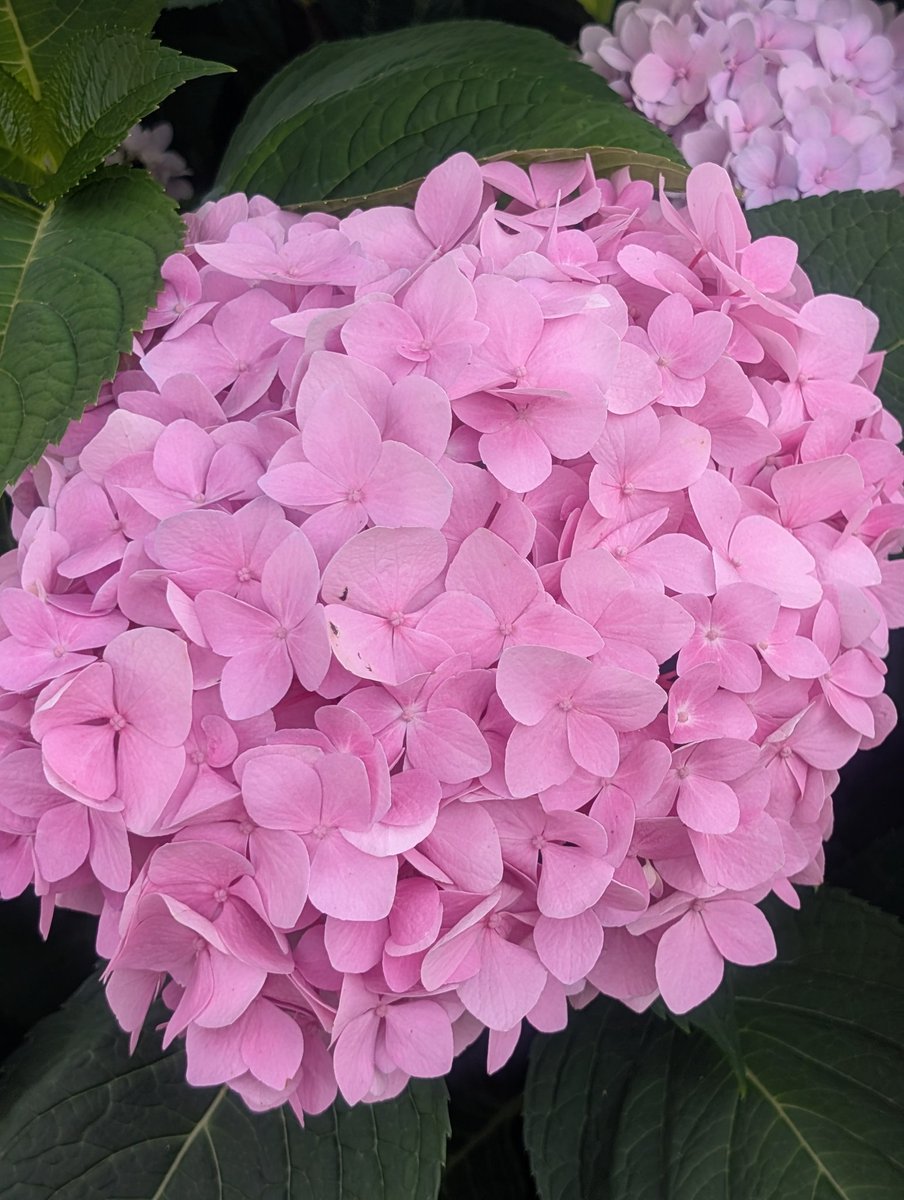 Good afternoon everyone