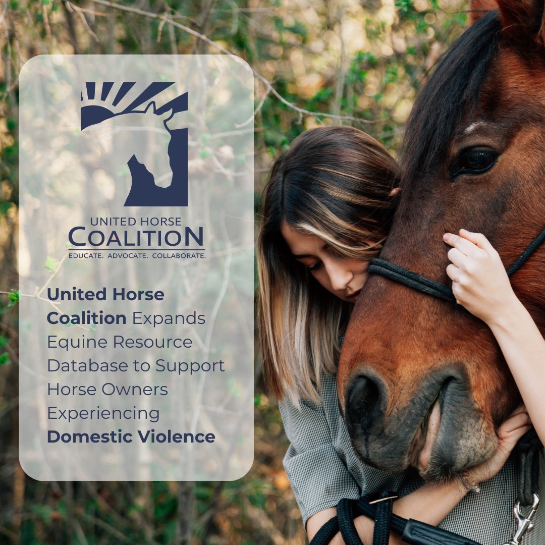 🐴 United Horse Coalition Expands Equine Resource Database to Support Horse Owners Experiencing Domestic Violence
 
Read more: unitedhorsecoalition.org/united-horse-c…

#HereforHorses #HereForHorseOwners #ResponsibleOwnership #EquineWelfare #UHCERD #DomesticViolence #UnitedHorseCoalition