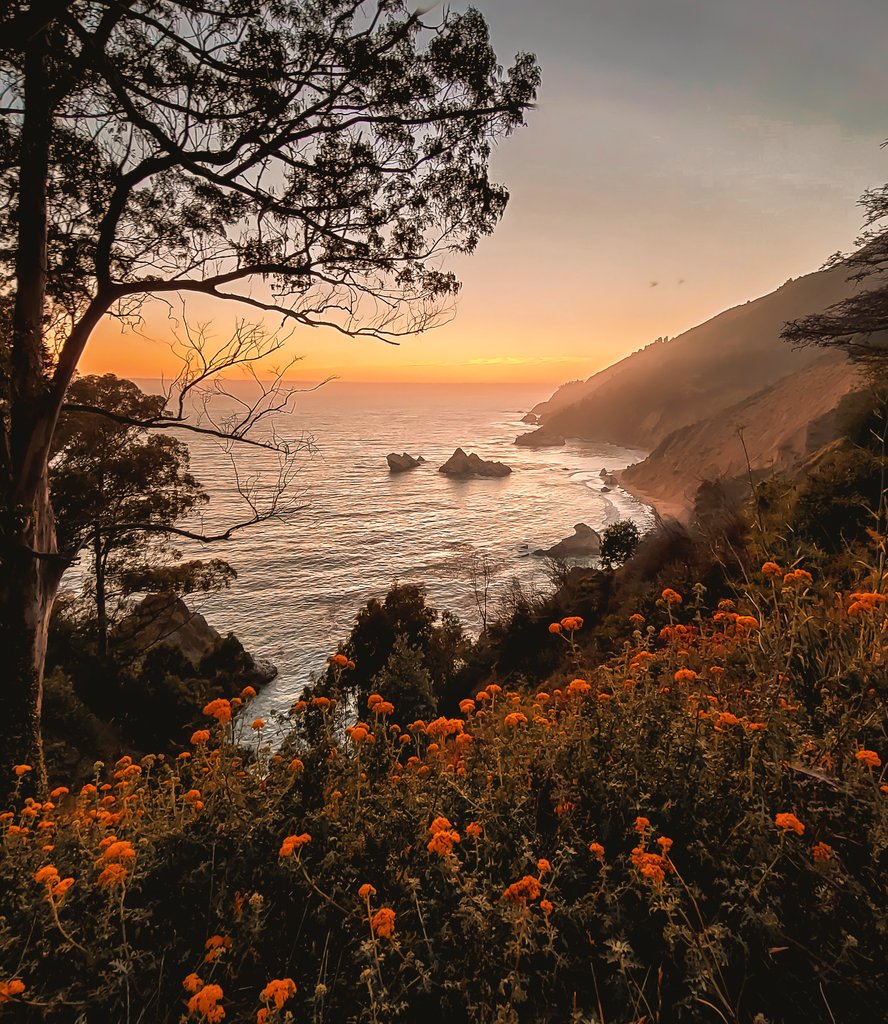 openshutter21's tweet image. I miss the PCH. I can't wait to be back.