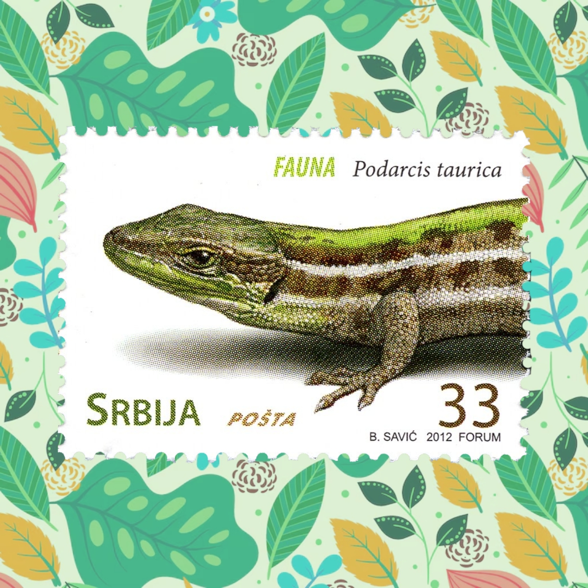 ¡El 14 de agosto se e celebra el Día Mundial del Lagarto! La principal finalidad de esta efeméride es la de dar a conocer la importancia de las especies de lagarto, así como las amenazas que afronta, tales como el tráfico de fauna. 🦎🦎🦎🦎
#Lagartos #Reptiles #Biología #Animales