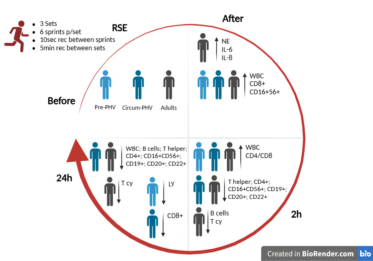 Almeida-Neto (@pauloalmeidane1) on Twitter photo Effect of repeated sprint exercise on immunological responses in adult and adolescent athletes at different stages of biological maturation: a-quasi-experimental-trial
<a href="/SciReports/">Scientific Reports</a>
doi.org/10.1038/s41598… Effect of repeated sprint exercise on immunological responses in adult and adolescent athletes at different stages of biological maturation: a-quasi-experimental-trial
<a href="/SciReports/">Scientific Reports</a>
doi.org/10.1038/s41598…