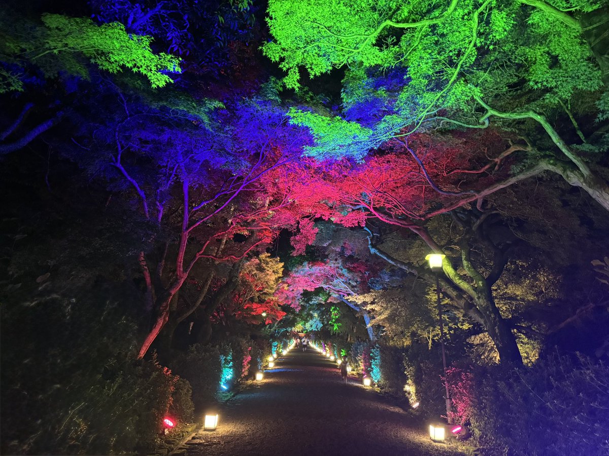 ㅤ
2O25 ﾅﾂﾉｵﾓｲﾃﾞ！ 
ㅤ