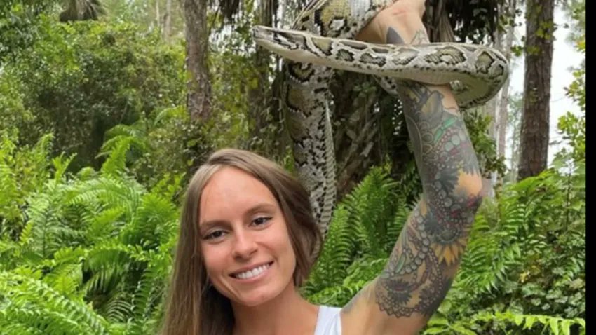 Venezolanonews's tweet image. #NoticiasEV 🐍🏆¡Récord en el #FloridaPythonChallenge 2025!

En solo 10 días, los participantes capturaron 294 #pitones birmanas en los #Everglades, ayudando a proteger la fauna nativa

💰 Premios: De un bote de $25,000, el Gran Premio de $10,000 fue para la influencer…