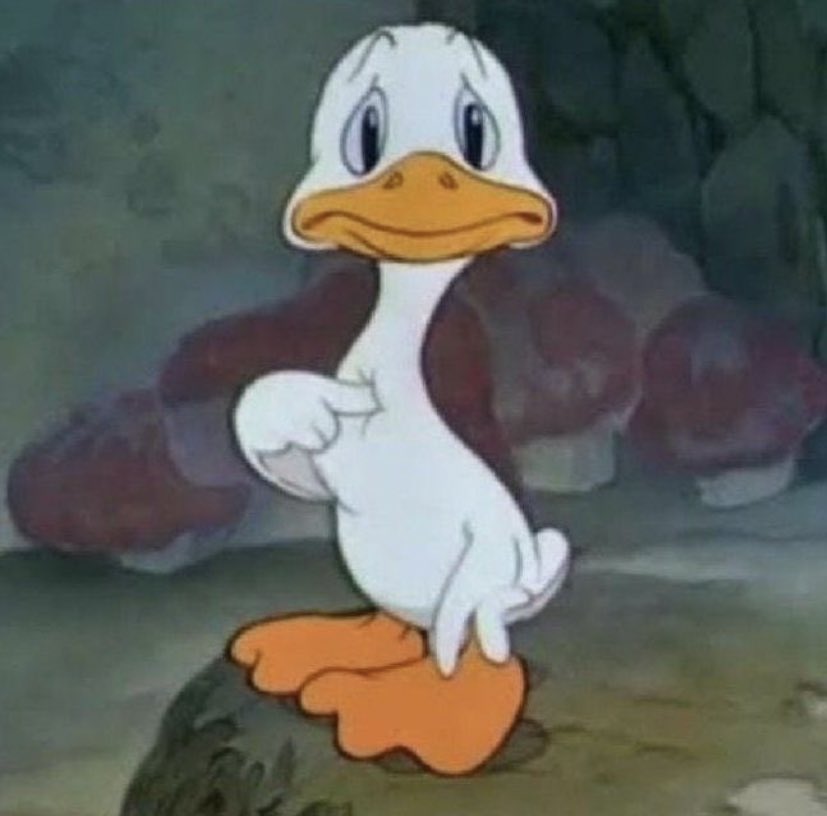 rorawellsy's tweet image. 