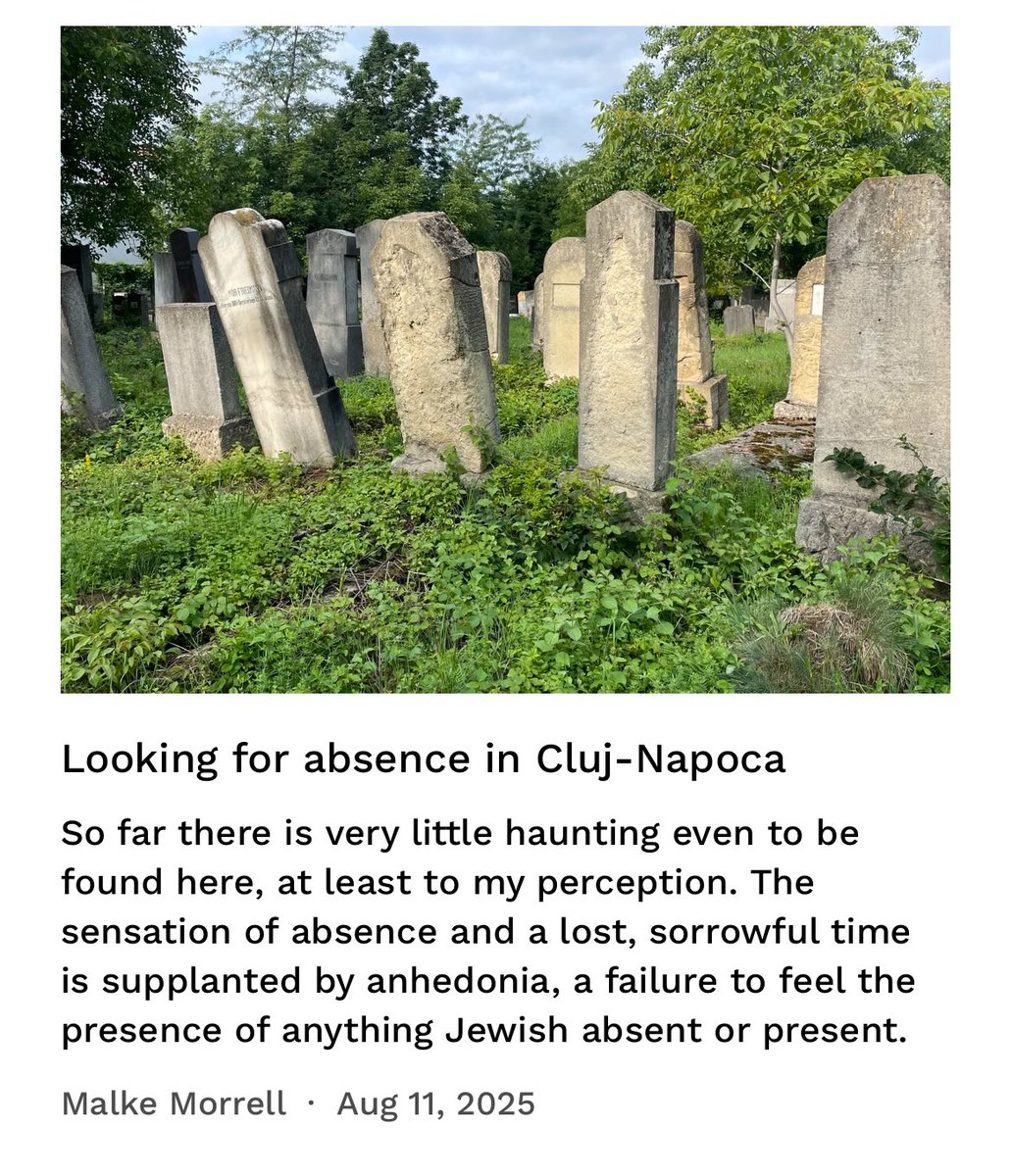 iris 👑 מלכּה tweet media