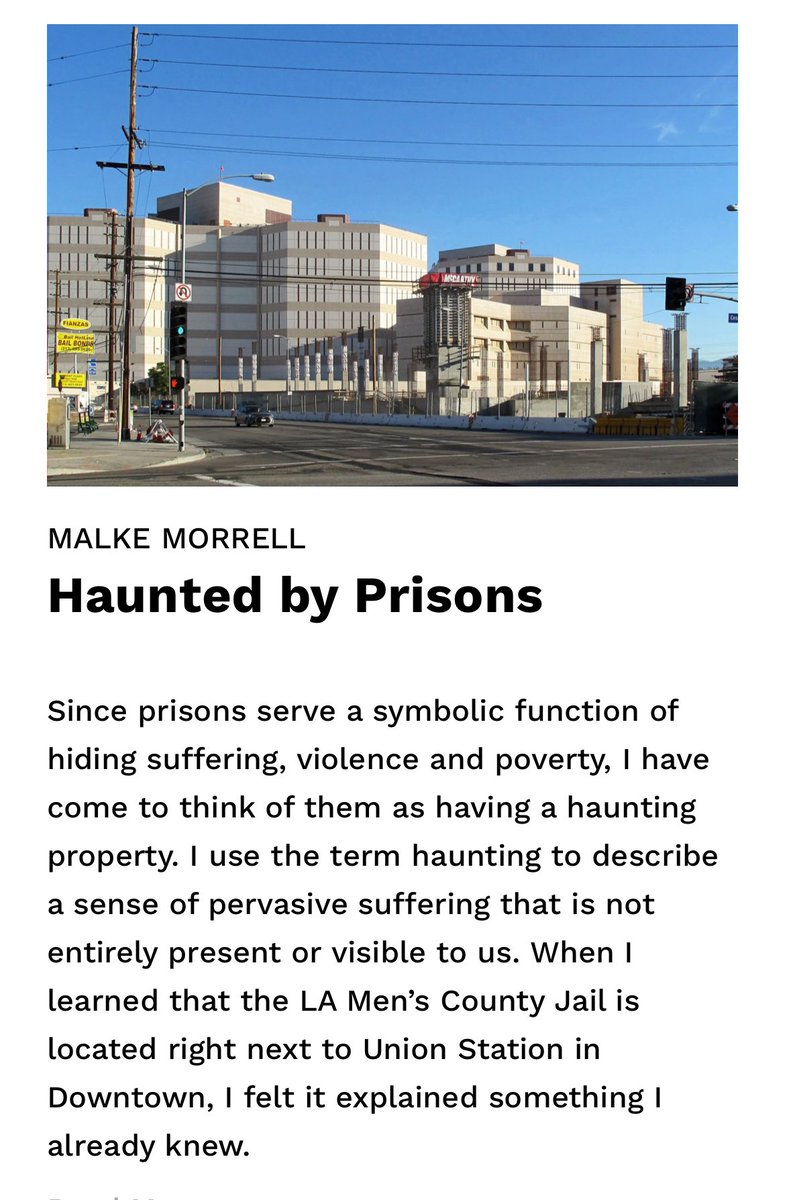 iris 👑 מלכּה tweet media