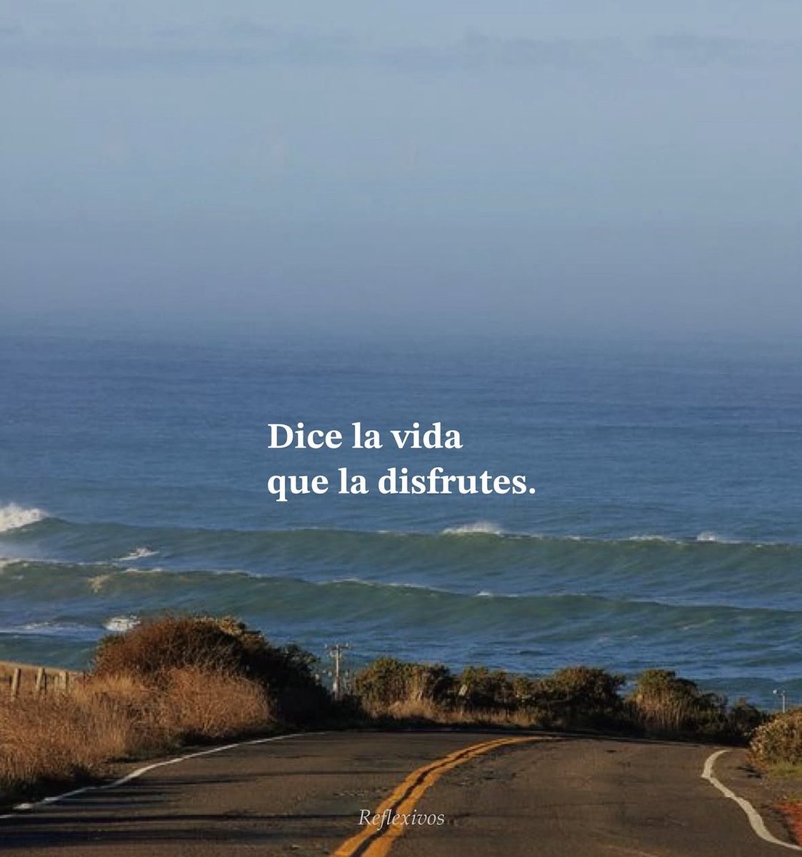 FraseSimple's tweet image. 