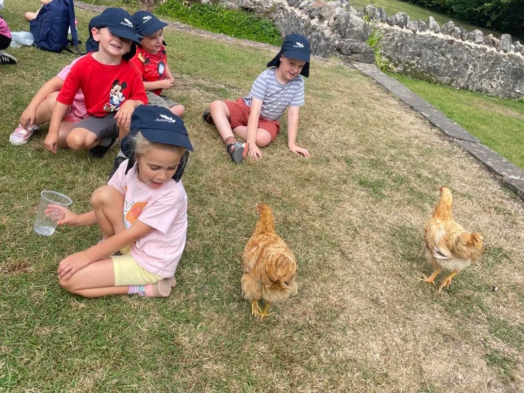 AcornsActionPak's tweet photo. The 4-5s stepped back in time  and visited Saint Fagans. Their favourite part of the trip was meeting the friendly chickens. https://t.co/dN0KaP09Kl