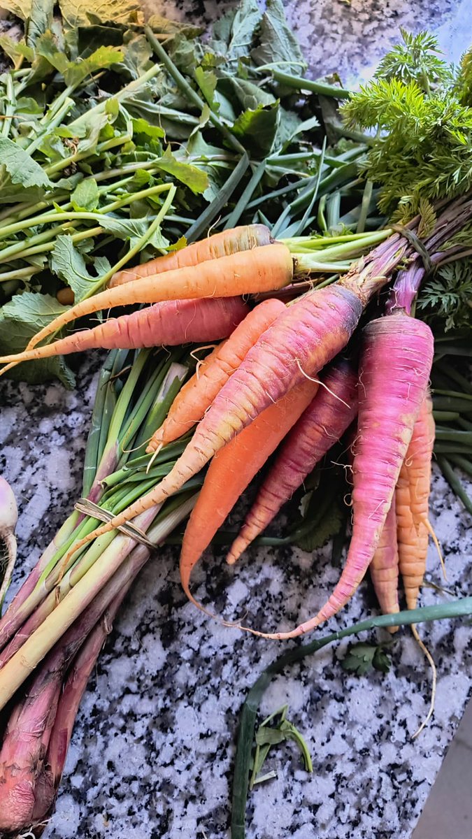 No sé si comerlas o usarlas para decorar 😍

De las chicas de <a href="/alas_lujan/">Agroecología Aluhe</a>