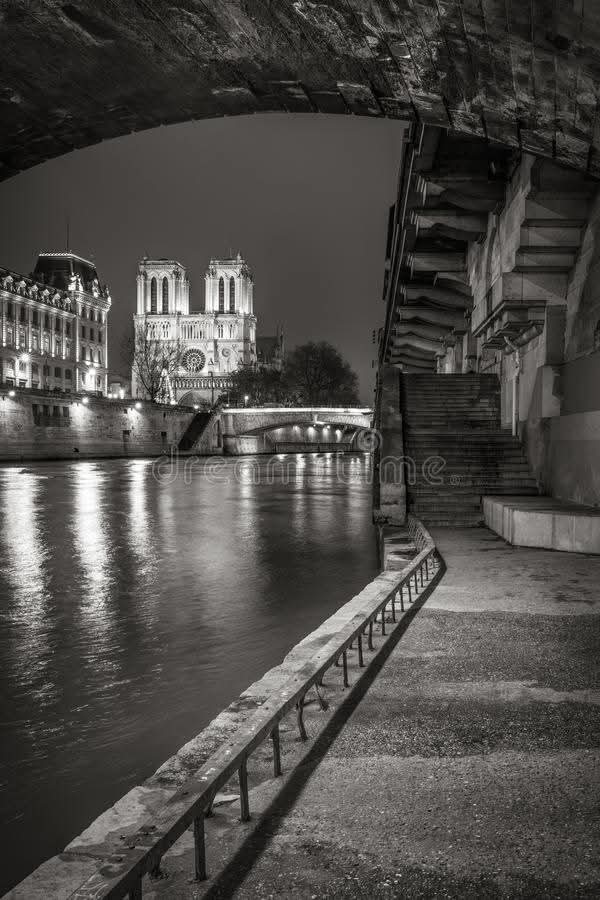 ParisAMDParis's tweet photo. 📸 Les berges de la Seine et Notre-Dame 
Paris Quartier Latin. https://t.co/bSkAg1KXTY