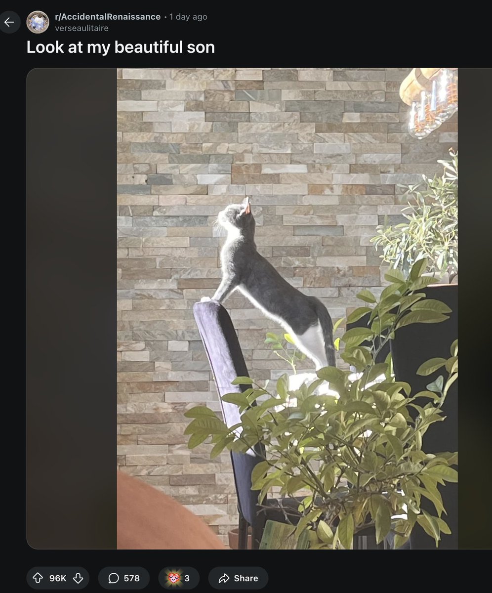 Ghost👻 (@eth_taco) on Twitter photo $Aura Cat
96K+ Upvotes in 24 hrs. This Cat is going Viral. 🚀🐱
Contact with <a href="/_verseaulitaire/">Verseaulitaire</a> has been made, allowing her a little time to absorb all of the information on crypto. She is game to collab on $Aura Cat, the first meme about her Cat Marble.🐱
Aura the Cat🐱
CA: $Aura Cat
96K+ Upvotes in 24 hrs. This Cat is going Viral. 🚀🐱
Contact with <a href="/_verseaulitaire/">Verseaulitaire</a> has been made, allowing her a little time to absorb all of the information on crypto. She is game to collab on $Aura Cat, the first meme about her Cat Marble.🐱
Aura the Cat🐱
CA: