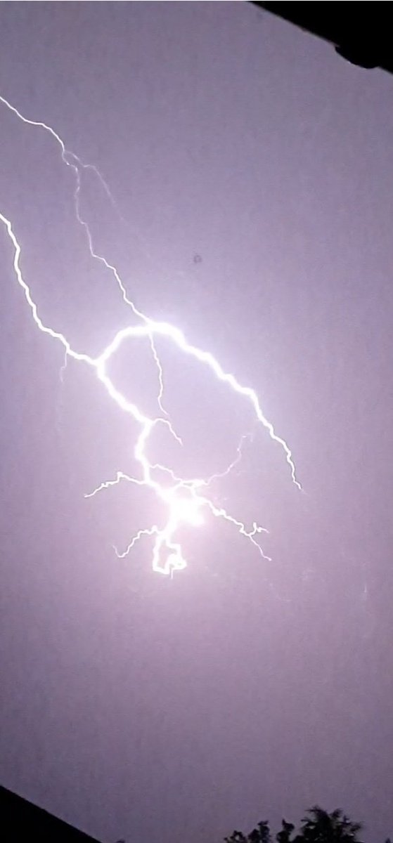 🦥🐧🐯:
Ganz schlimmes 🌩⚡️🌩 hier. 
Donnert ganz laut. 
Wir verstecken uns lieber.