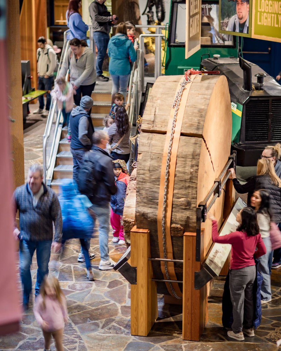 World_Forestry's tweet photo. We’re proud to share that the Discovery Museum is now part of the Museums for All program! 🌿 Families receiving SNAP benefits can enjoy discounted admission, making it easier for everyone to explore, learn, and connect with the wonders of our forests. 🌲 

#museumsforall https://t.co/ePda0J2LzA