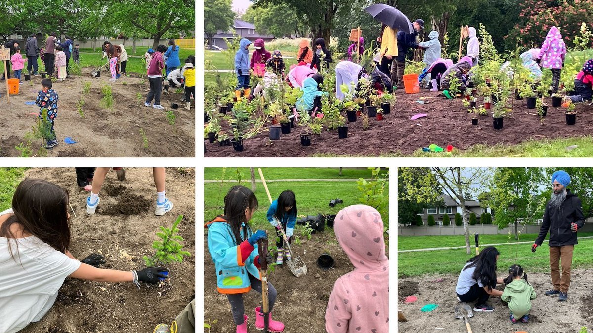 One of the most viewed stories of the 2024/25 school year was insert Where Learning Takes Root: Planning a Pocket Forest: 🌱🌳 What began as a school project is now a thriving native forest planted by students, guided by knowledge, and grown with care. With over 470 native