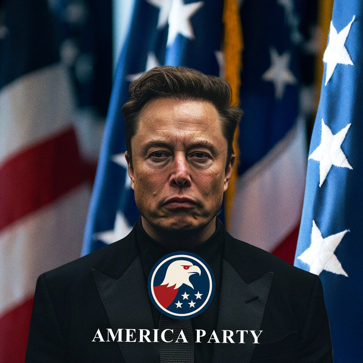 News America Party tweet media