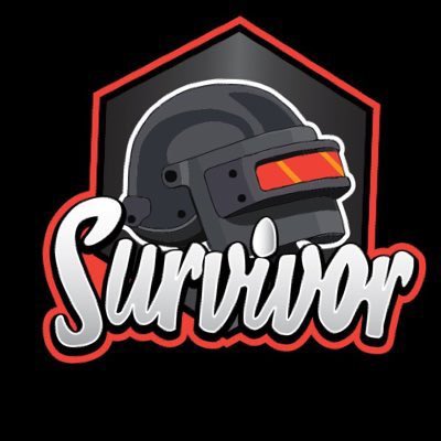 Survivor PUBG tweet media