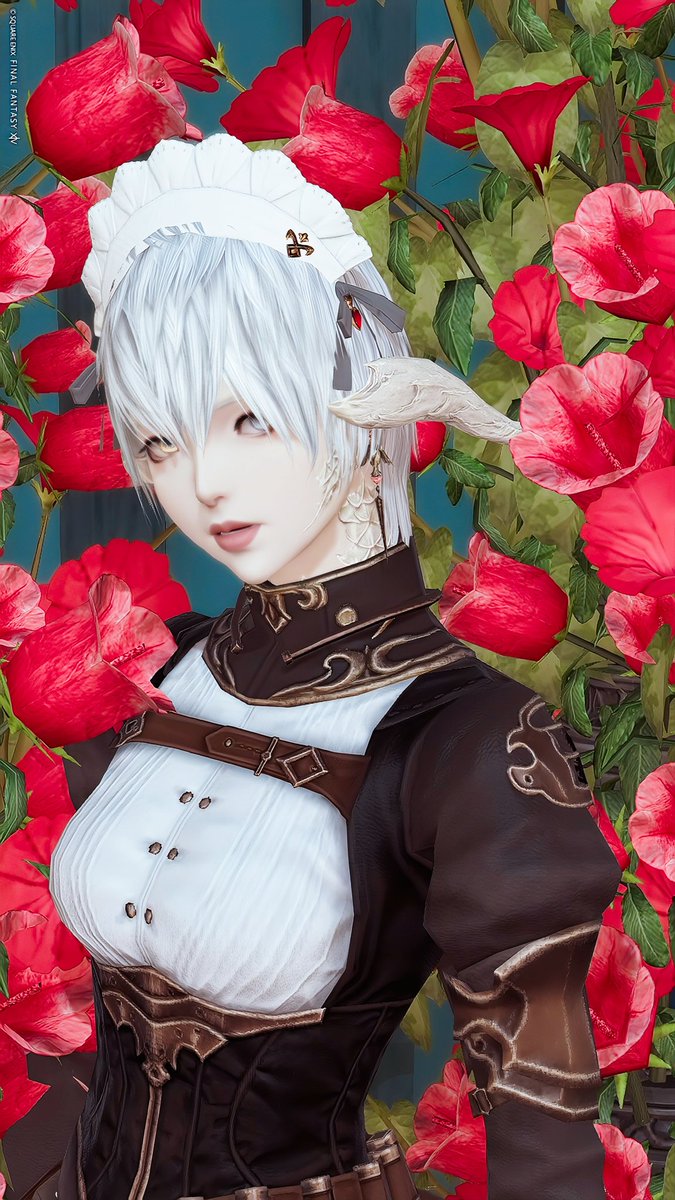 *⋆⸜ᴳᴼᴼᴰ ᴹᴼᴿᴺᴵᴺᴳ⸝⋆*

やっと金曜日だ〜ヾ(*´∀｀*)ﾉ✨
お盆休みってなんですか… •́ω•̀)???

🏷 #St_Mrp
#FF14 #アウラ #羽角普及委員会