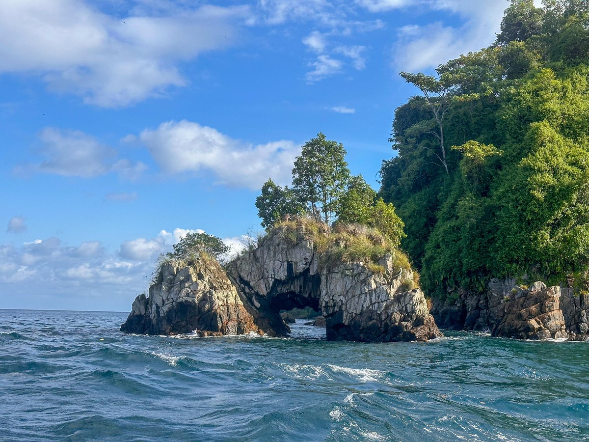 ParquesColombia's tweet photo. En sus 65 años, @ParquesColombia reafirma alianzas internacionales 🌿
La @UEenColombia y la @HungriaEmbajada respaldan acciones para fortalecer la conservación en el PNN Gorgona, pieza clave del Corredor Marino del Pacífico Este Tropical. 🌊 https://t.co/1uAZD3TxjQ